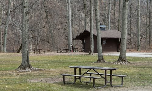 Maple Grove Picnic Area