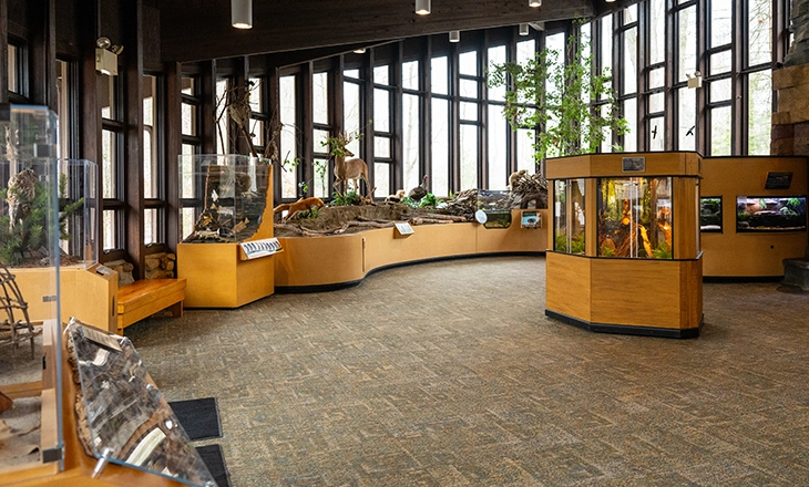 RRNC_Interior_02