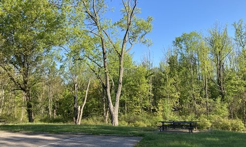 Hawthorn Ridge Picnic Area