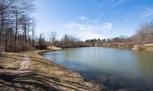 Walking trail along a pond