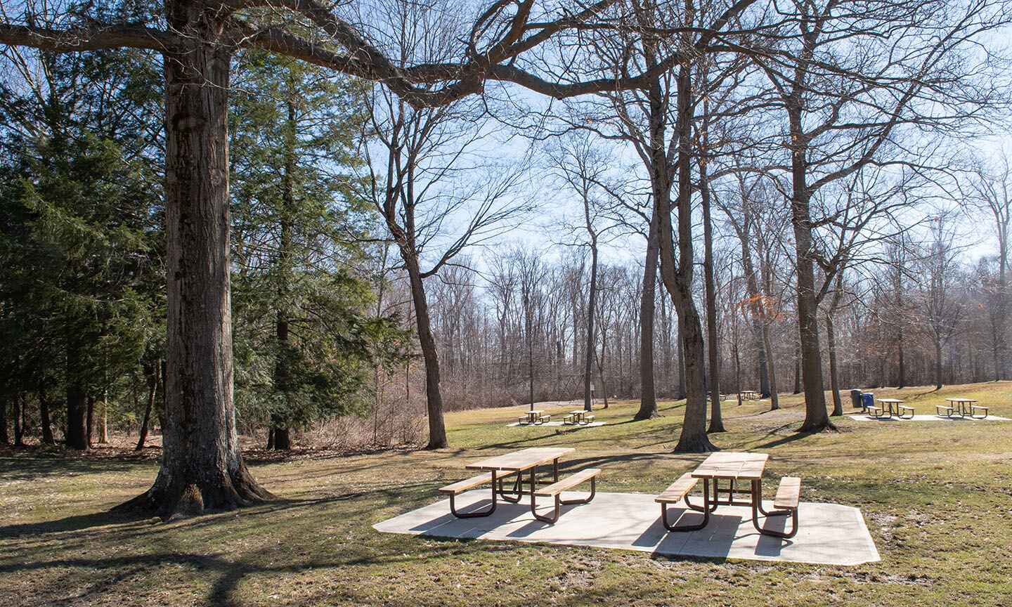 The Shelterhouse Picnic Area