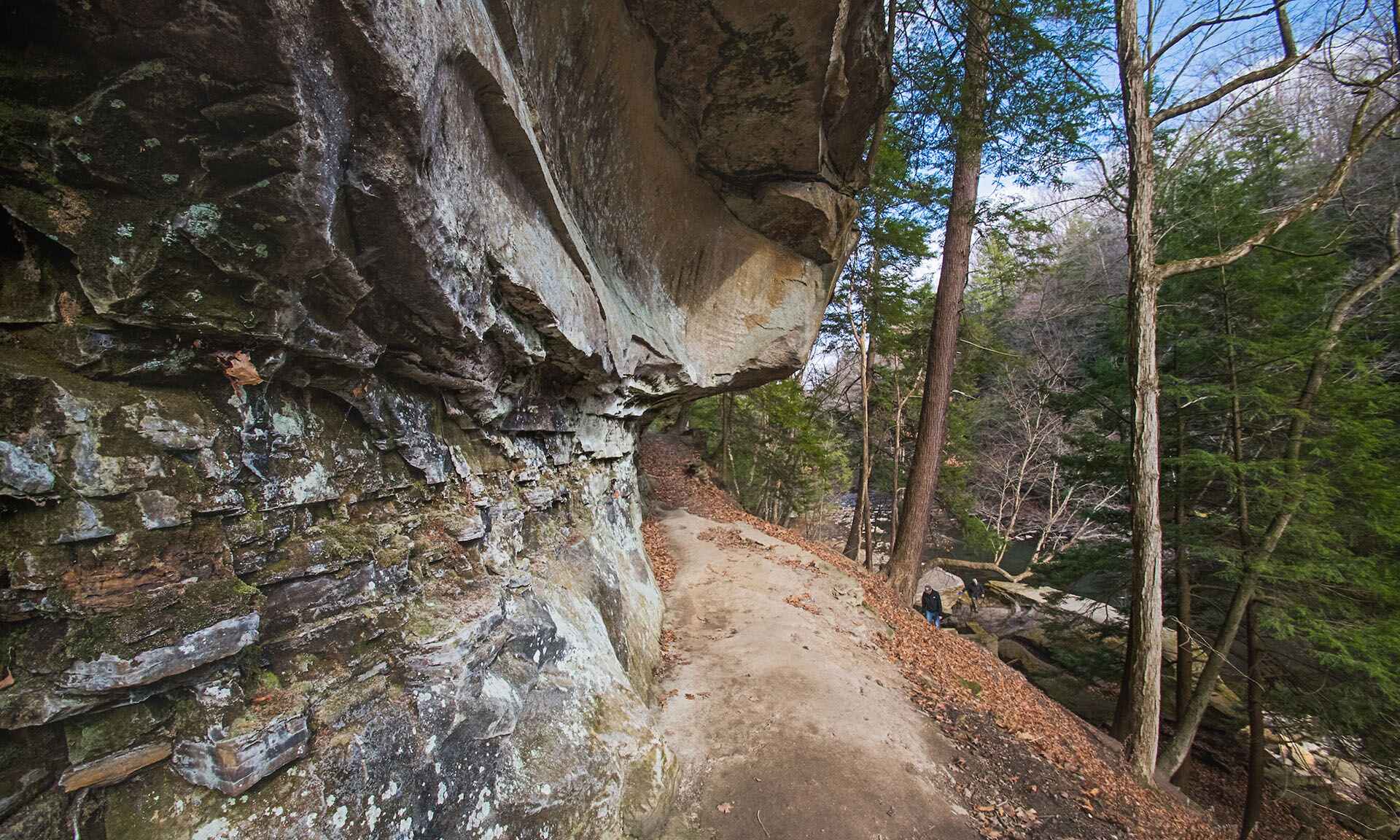 Rock and trees