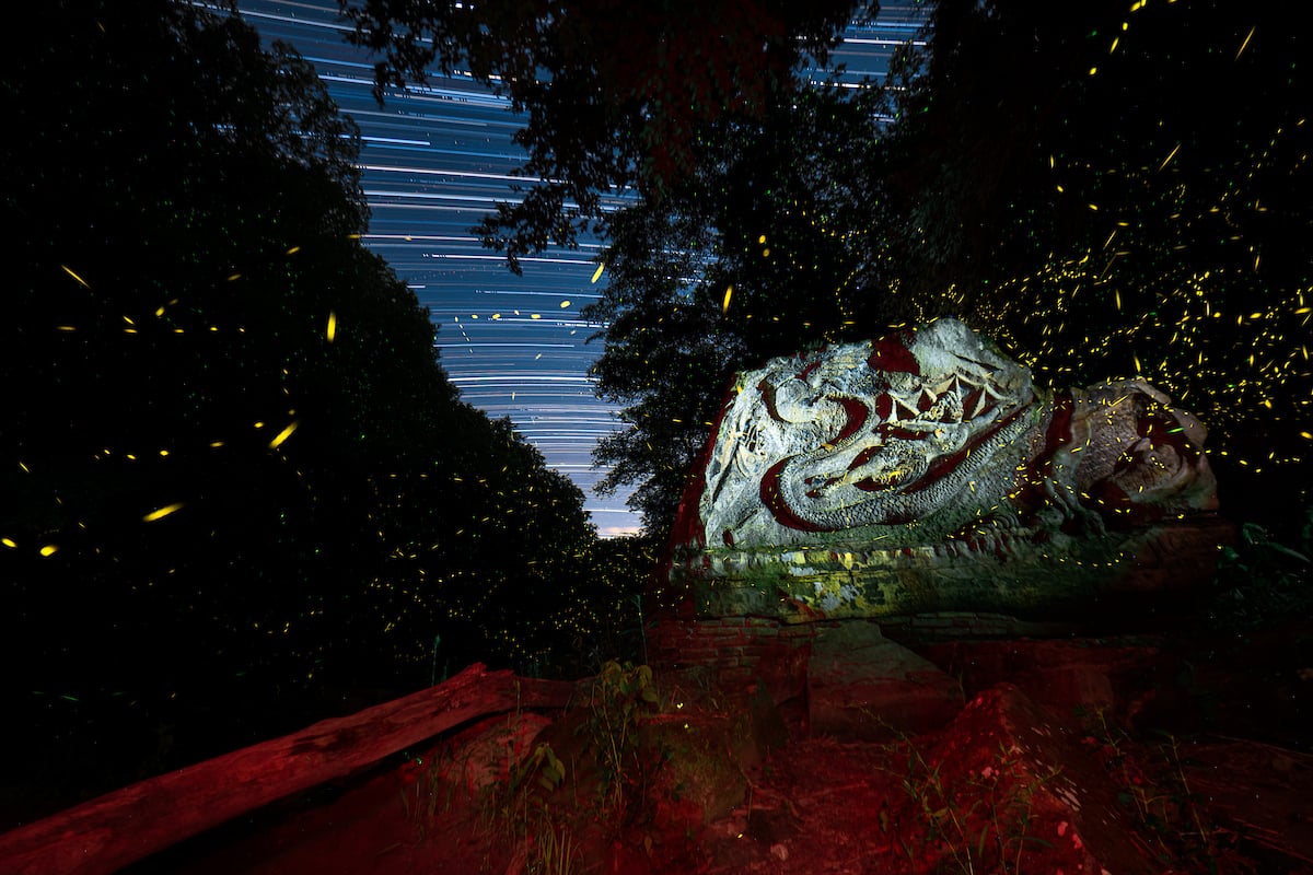 henry-church-fireflies