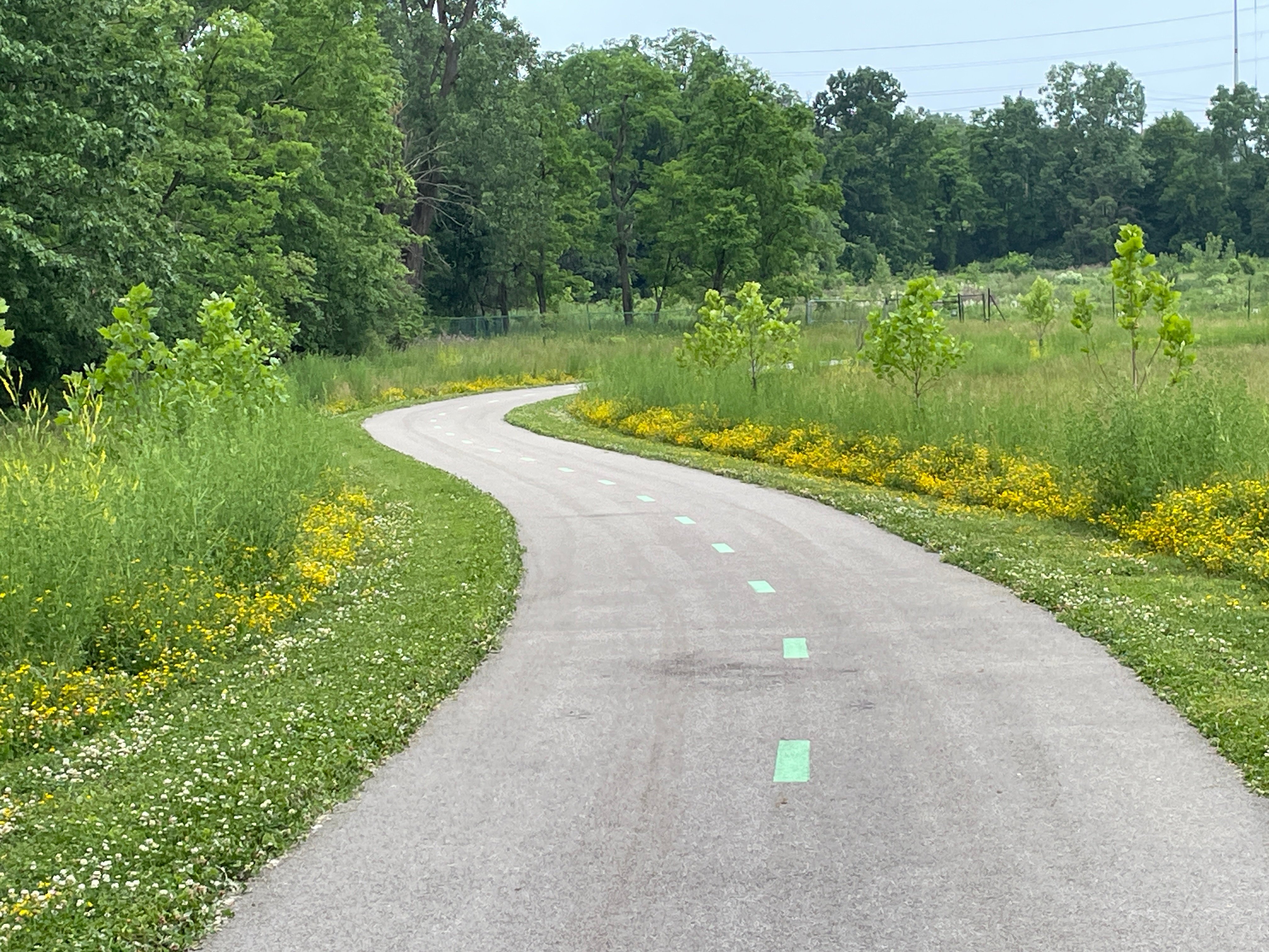 ECG-Ph-2-completed_2