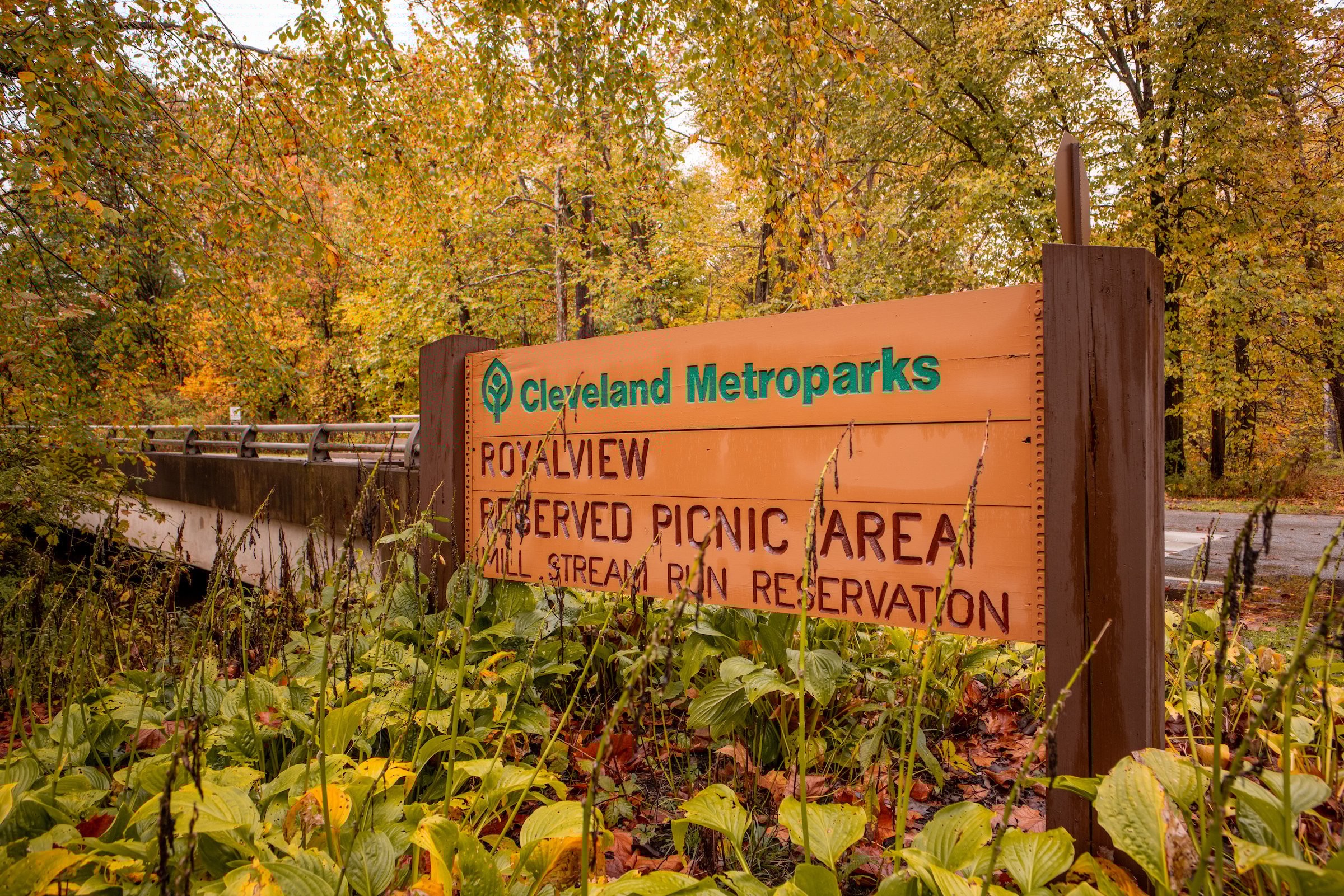 MILL_STREAM_RUN_241016-21