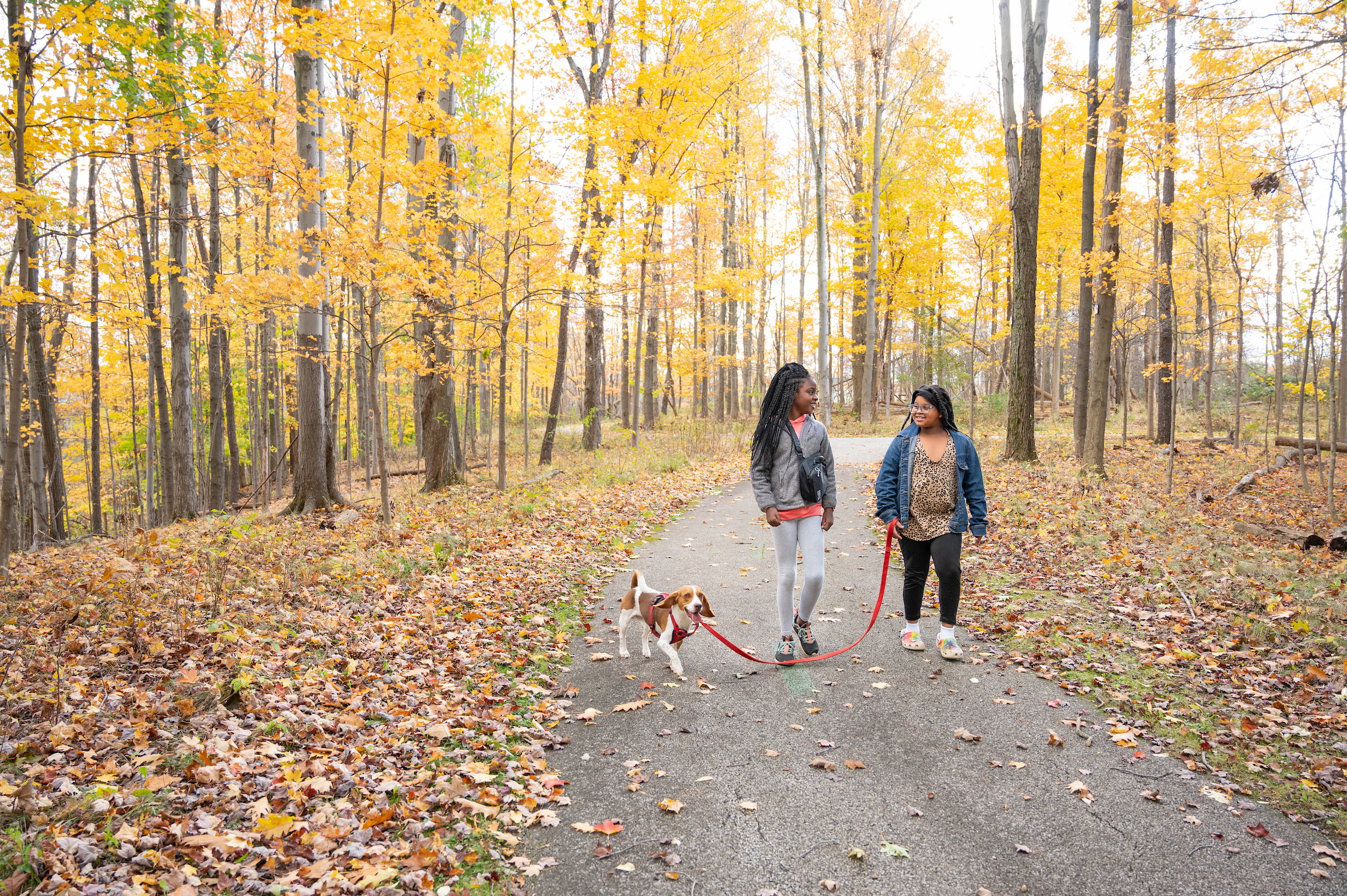 Two people walking a dog on a paved trail in the woods in autumn