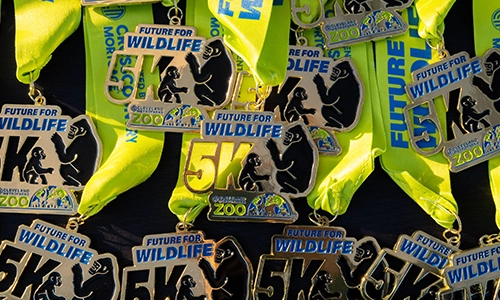 Photo of Future for Wildlife 5K medals