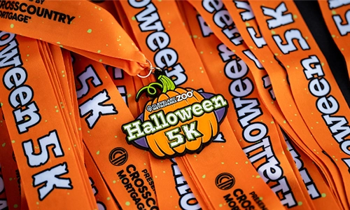 Photo of Halloween 5K medals