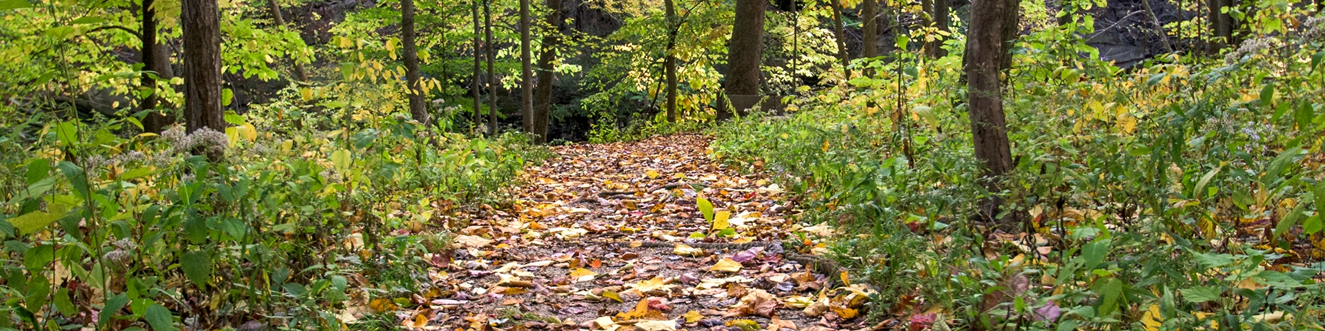 emerald necklace