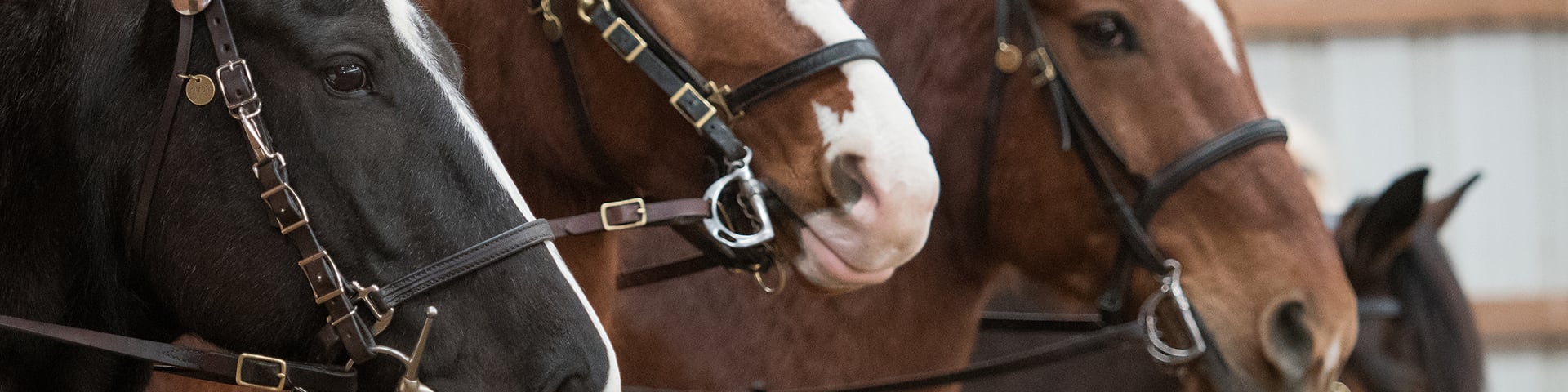 mounted