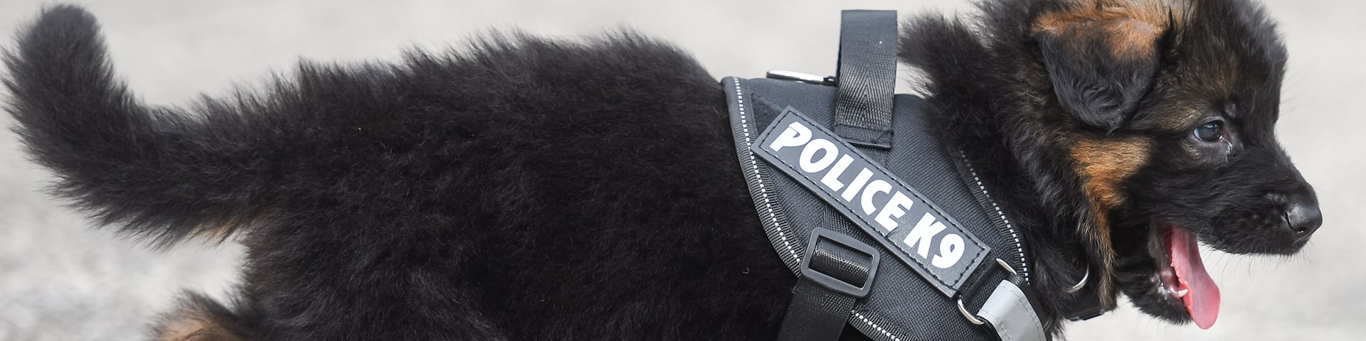 police