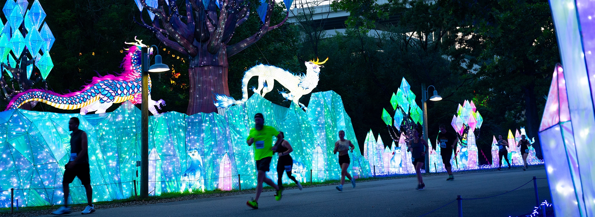ALF-5K