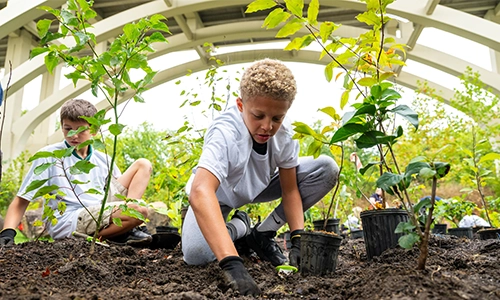 Photo of child planting tree at Cleveland Metroparks Zoo