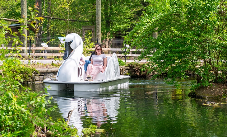 Boaters enjoying Swan Voyage at Cleveland Metroparks Zoo