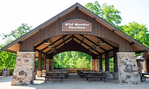 Wild-Wonder-Pavilion_card