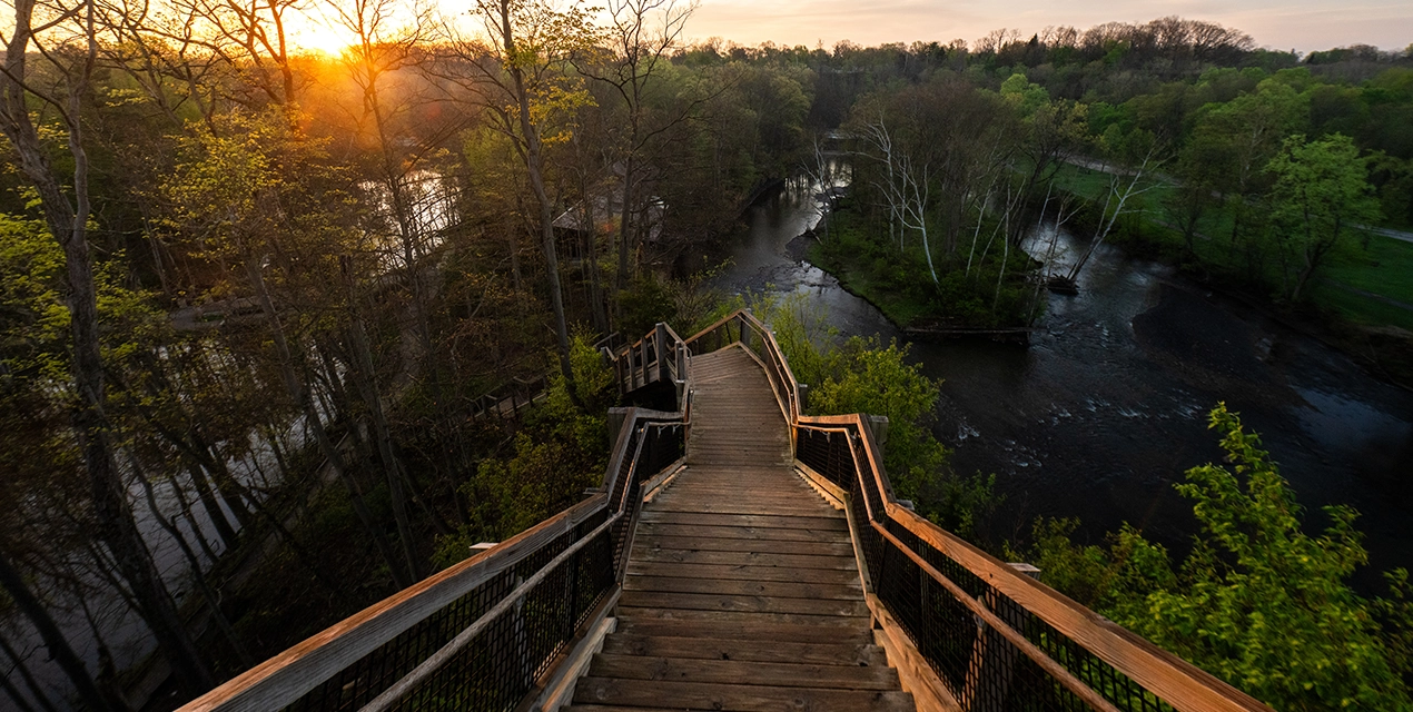Fort Hill Stairs_Fall.webp