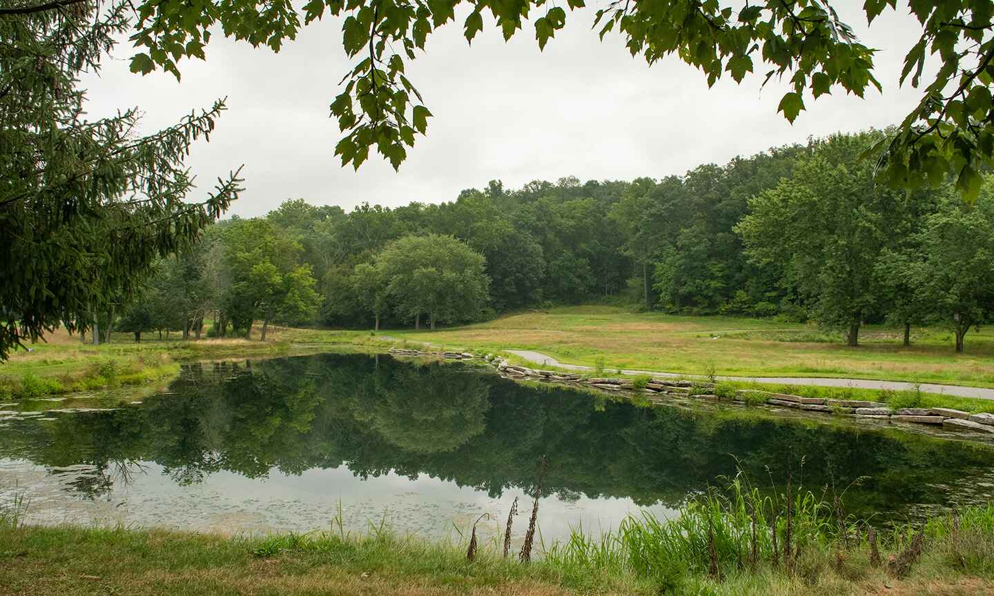 Astorhurst_Park_Pond_View.jpg