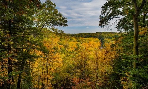 Tinker's Creek Gorge Scenic Overlook