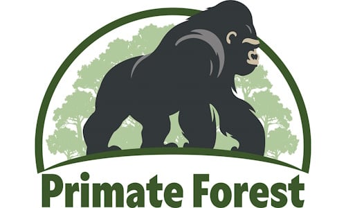 Primate-Forest.jpg