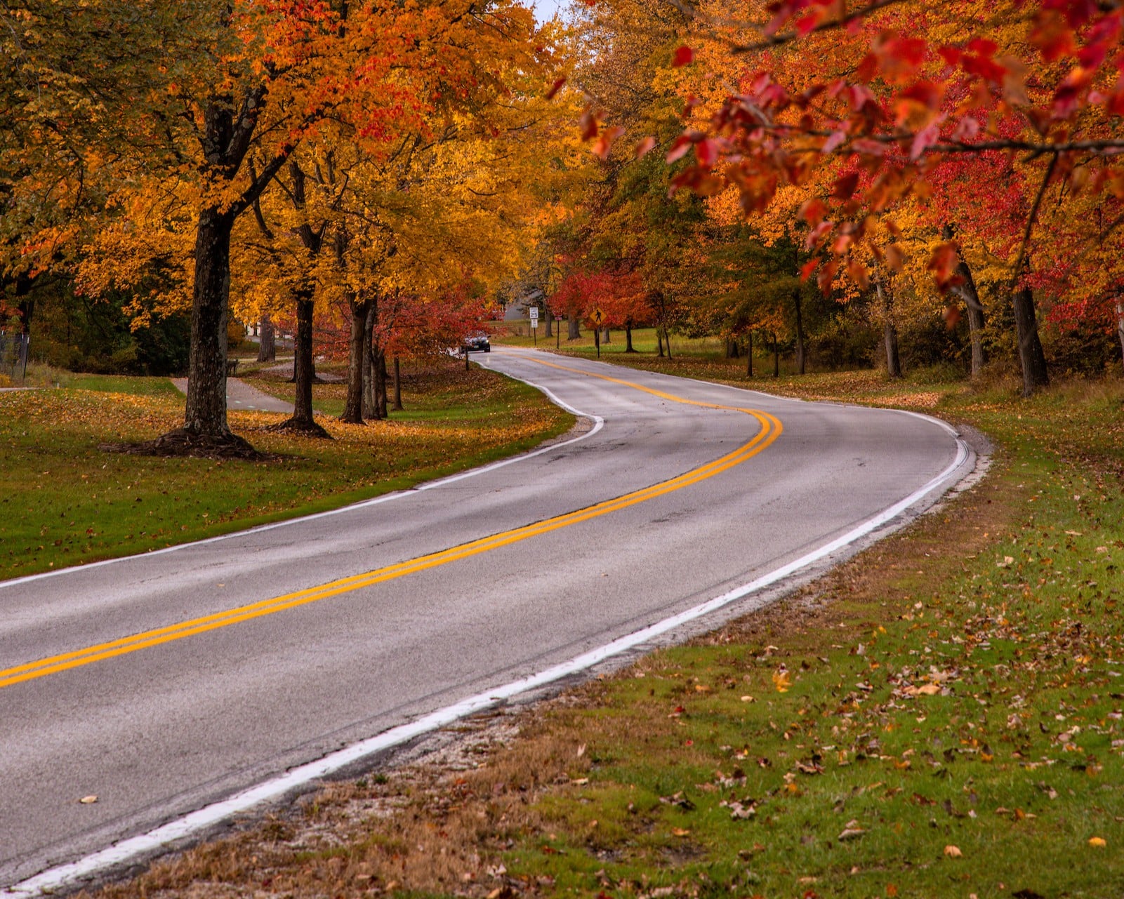 Big Creek Parkway.jpg