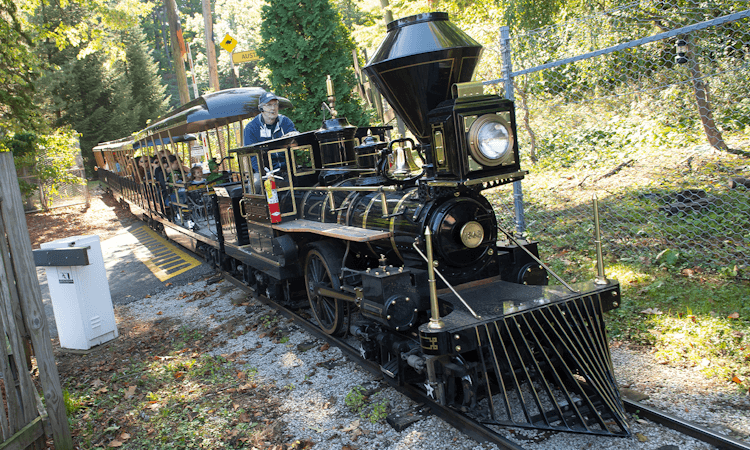 Boomerang-Train.png