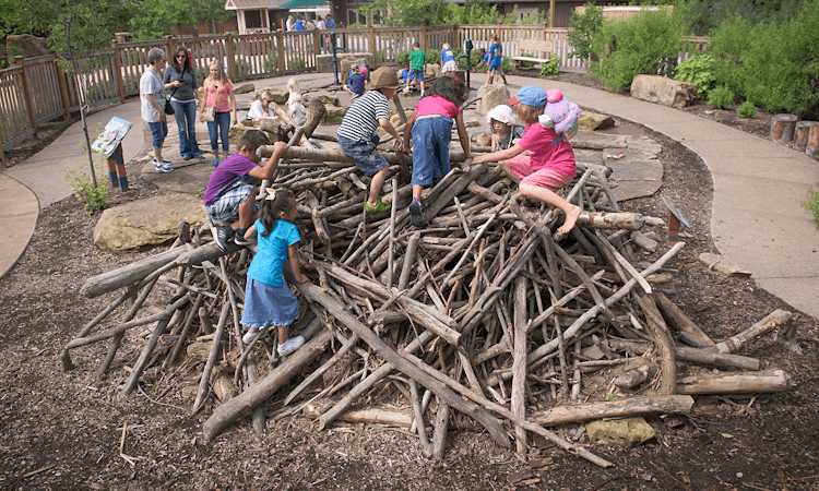NatureDiscoveryZone.png