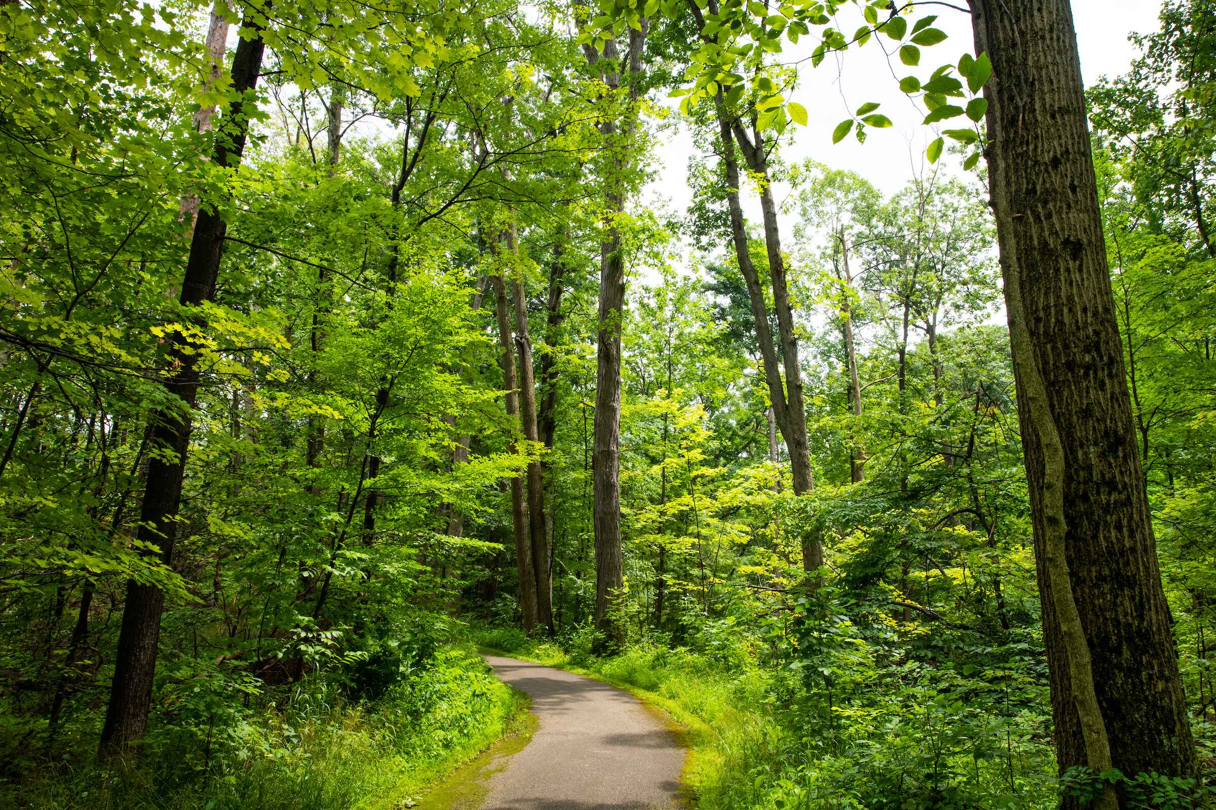 Brecksville-Nature-Center_2.jpg