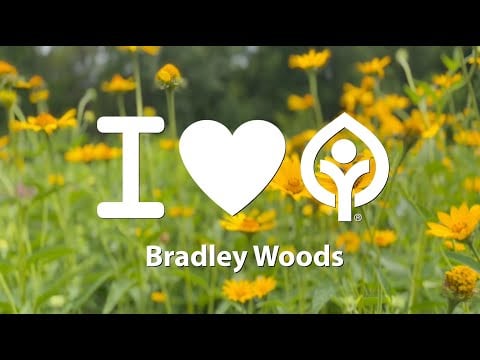 Bradley-Woods-Video.jpg
