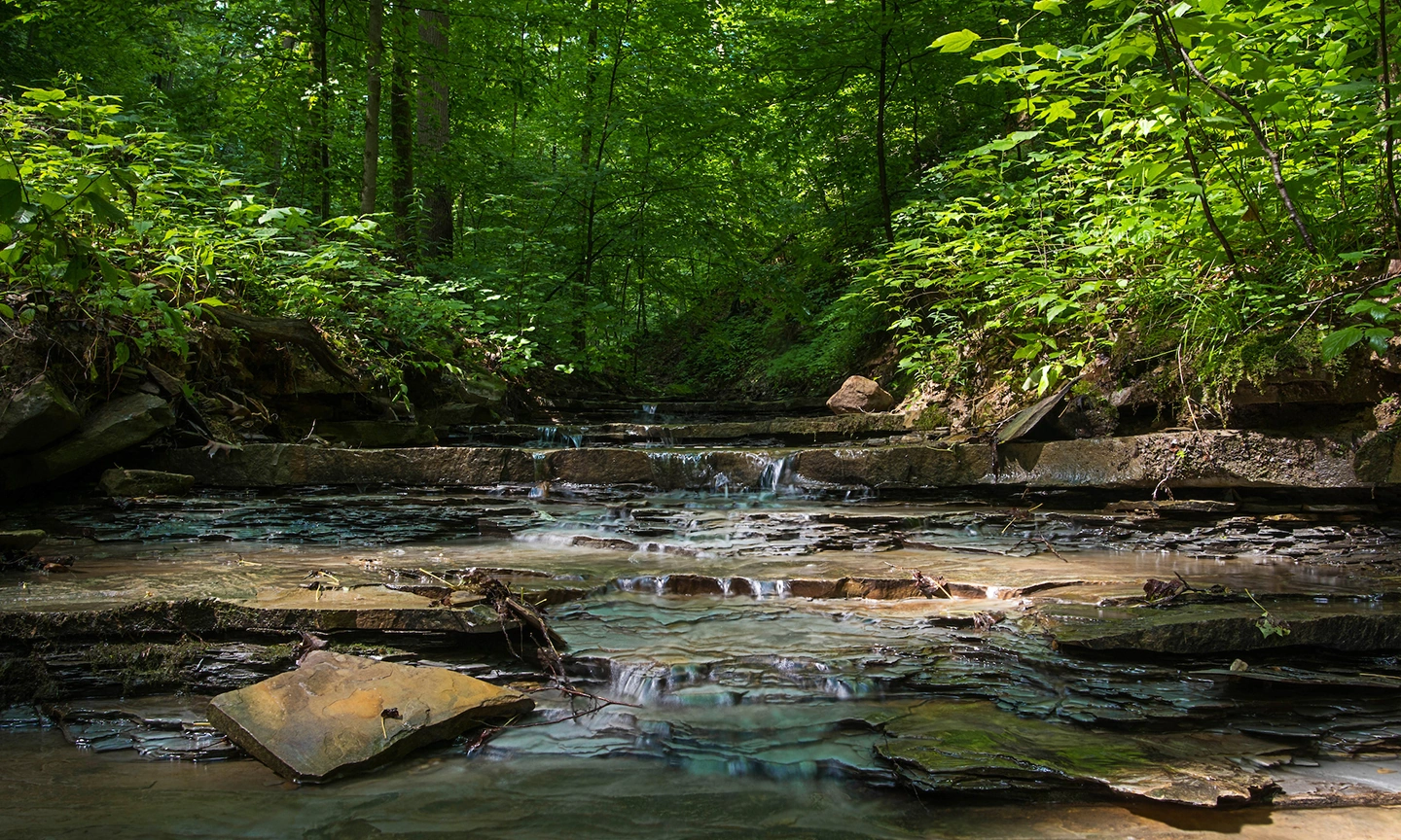 Parks_Creek_thumb.webp