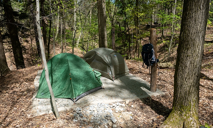 Williams Woods Backcountry Site 1