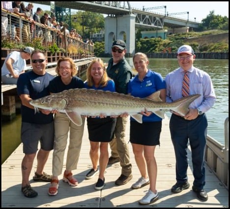 9.17.26 sturgeon 9.17.26 sturgeon