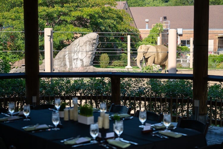 DiningTablewithviewofElephants.jpg