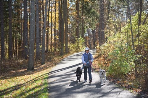 Brecksville-dogs-(1).jpg