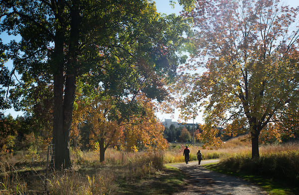 Many Oaks Trail Many Oaks Trail