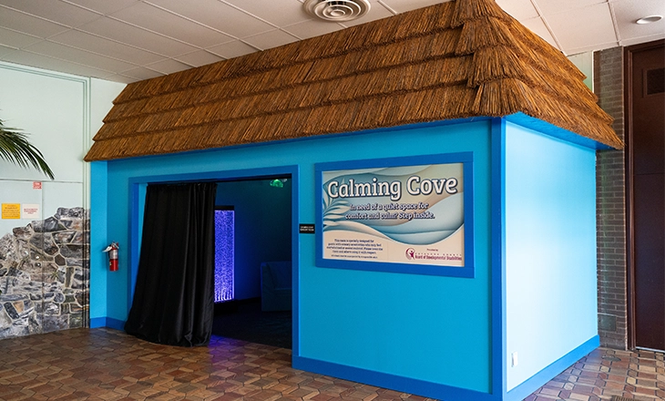 Calming-Cove_4.webp