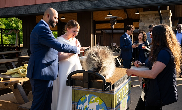 Up-Close_wedding.webp