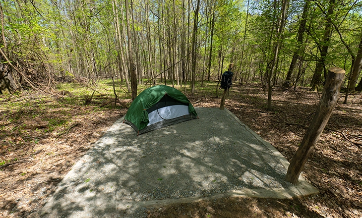 Williams Woods Backcountry Site 2