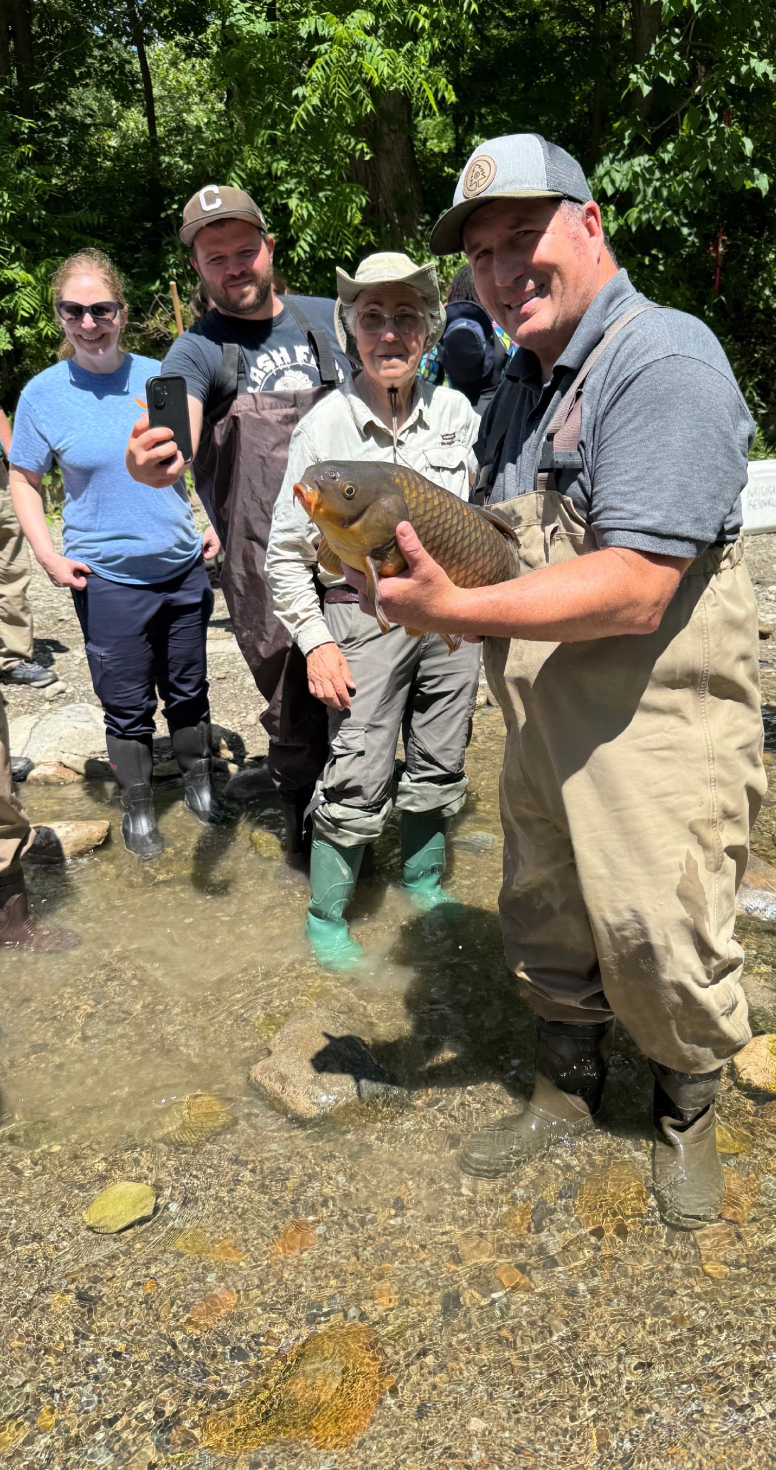 6-12-26 Life in the Stream_Carp