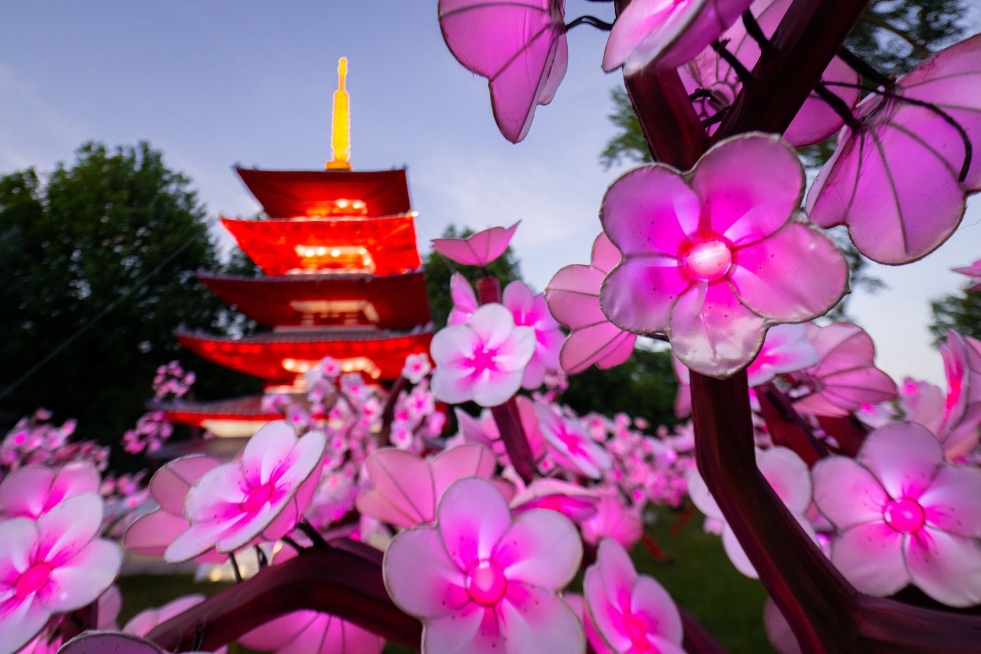Cleveland Metroparks Zoo Extends Asian Lantern Festival Through