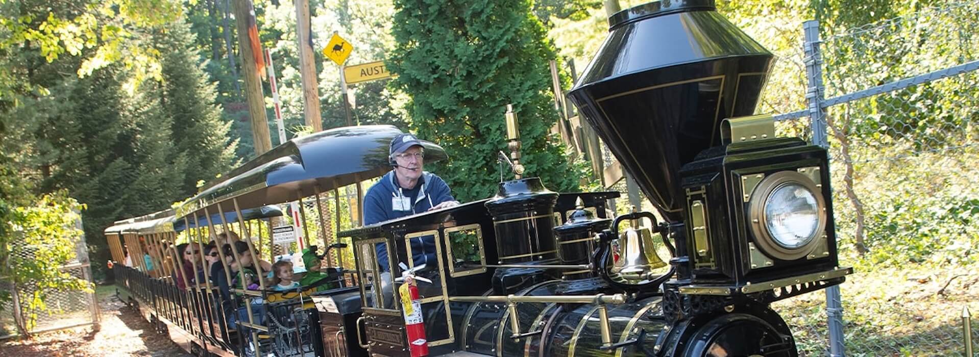 BoomerangTrain.jpg