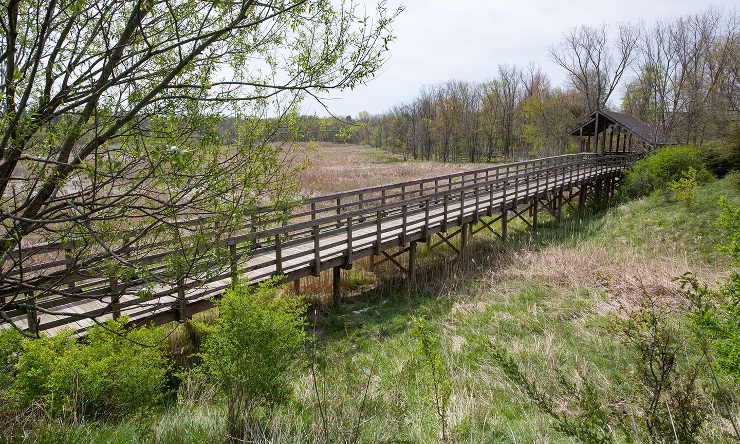 Lake-to-Lake Trailhead at Lake Abram Marsh