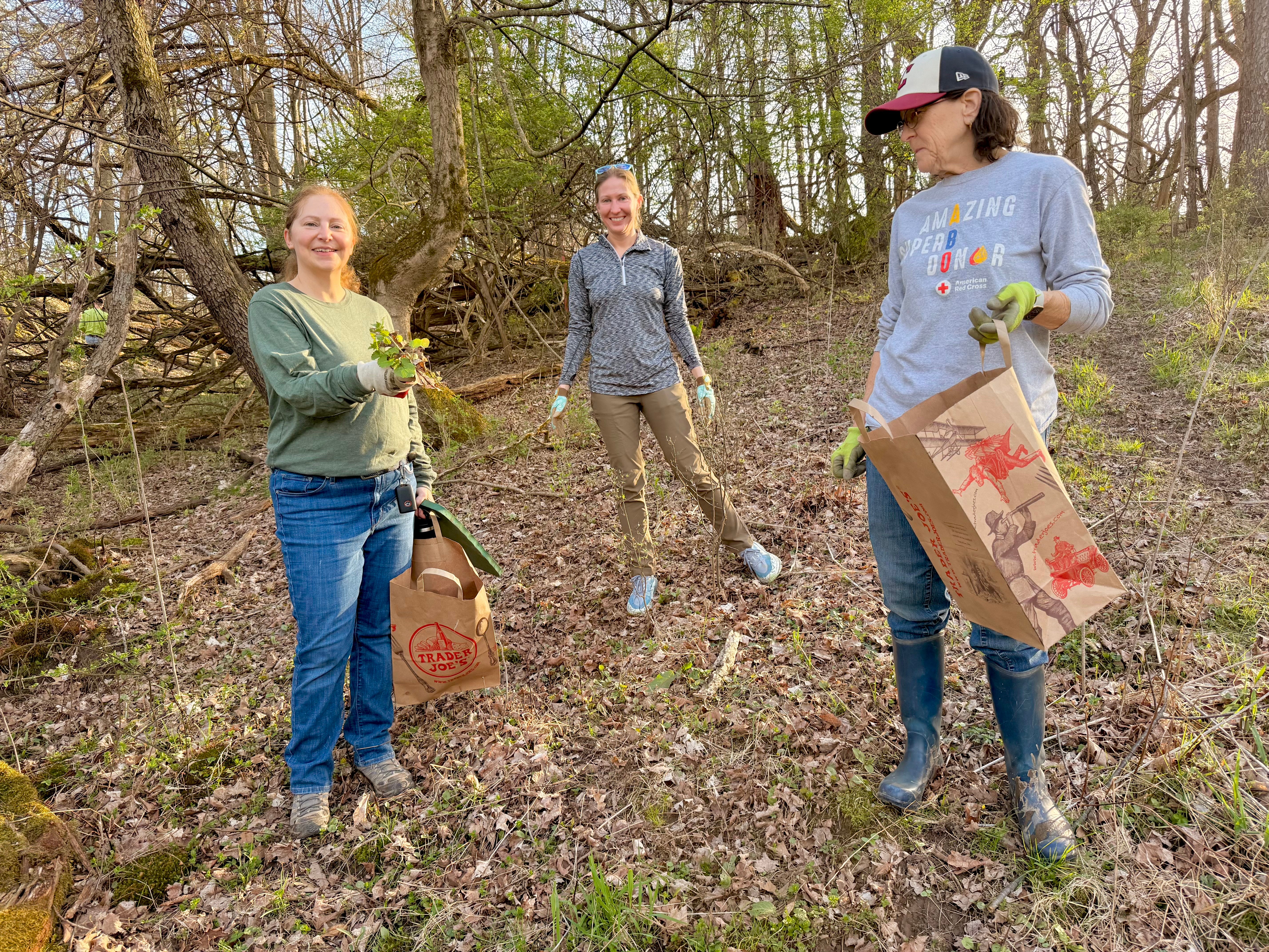 4-13-26 Garlic Mustard
