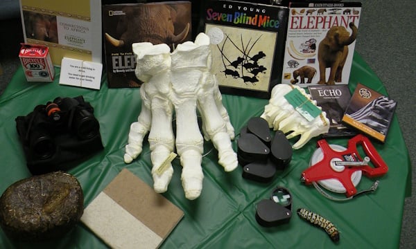 Teacher-s-Kit-on-Elephants.jpg