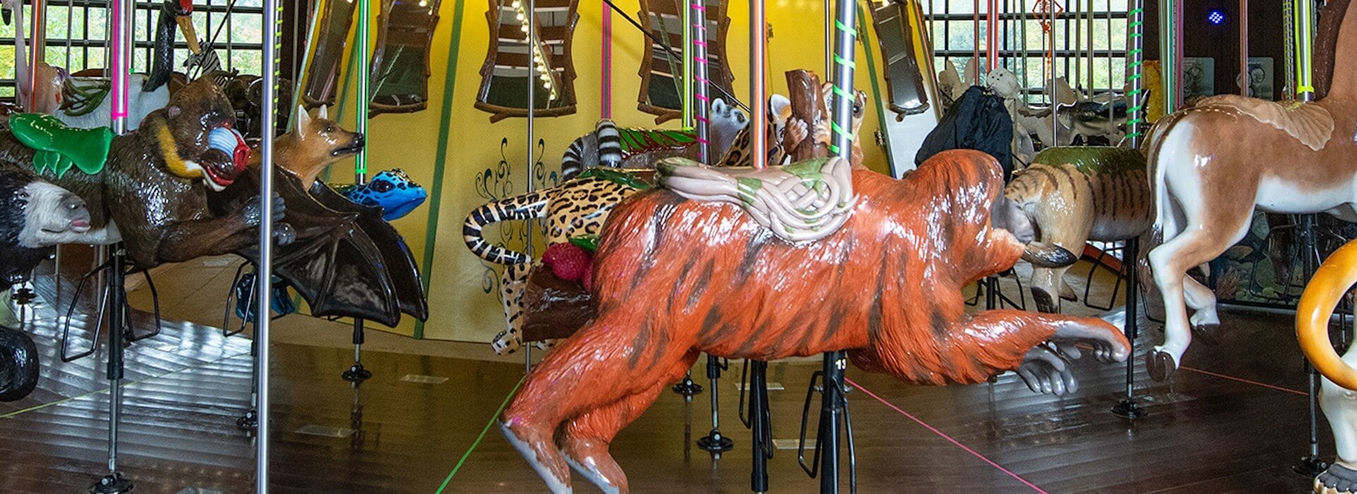 CircleofWildlifeCarousel.jpeg