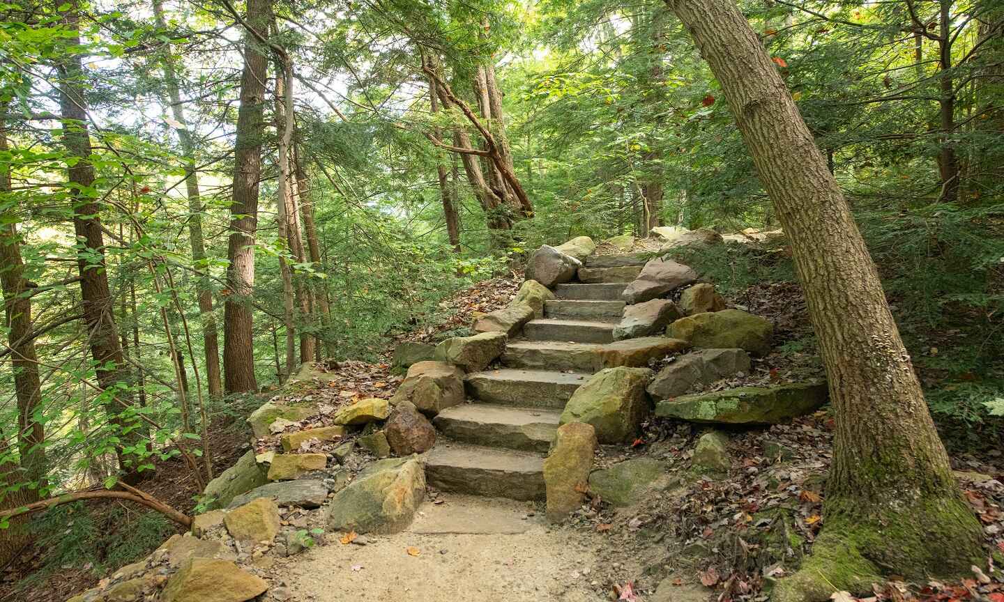 Thumb_Gorge-Loop_Stairs-Zoom.jpg