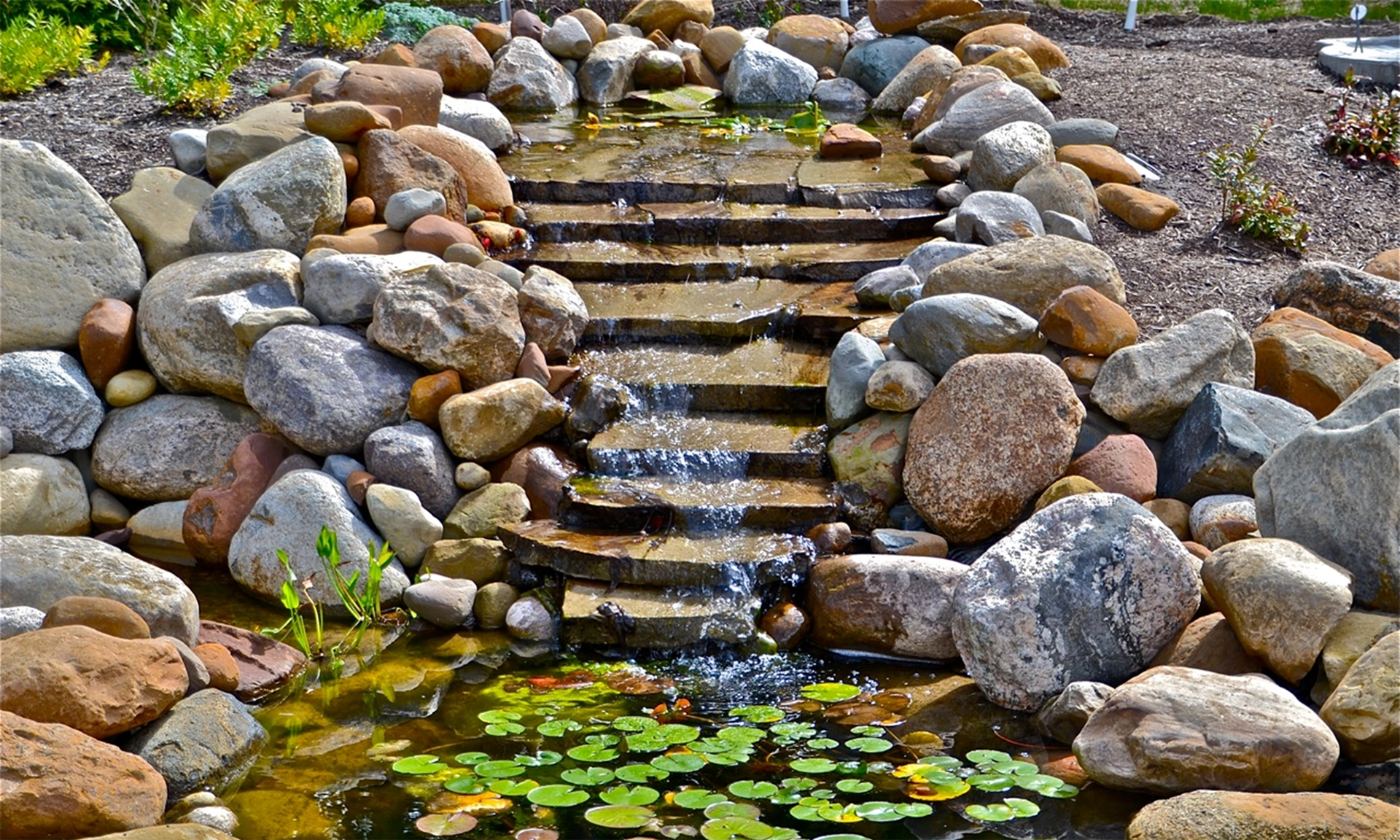 Waterfall-Diane-Schneider.webp
