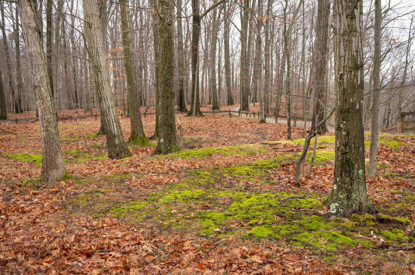 RRNC_Earthworks (1).jpg