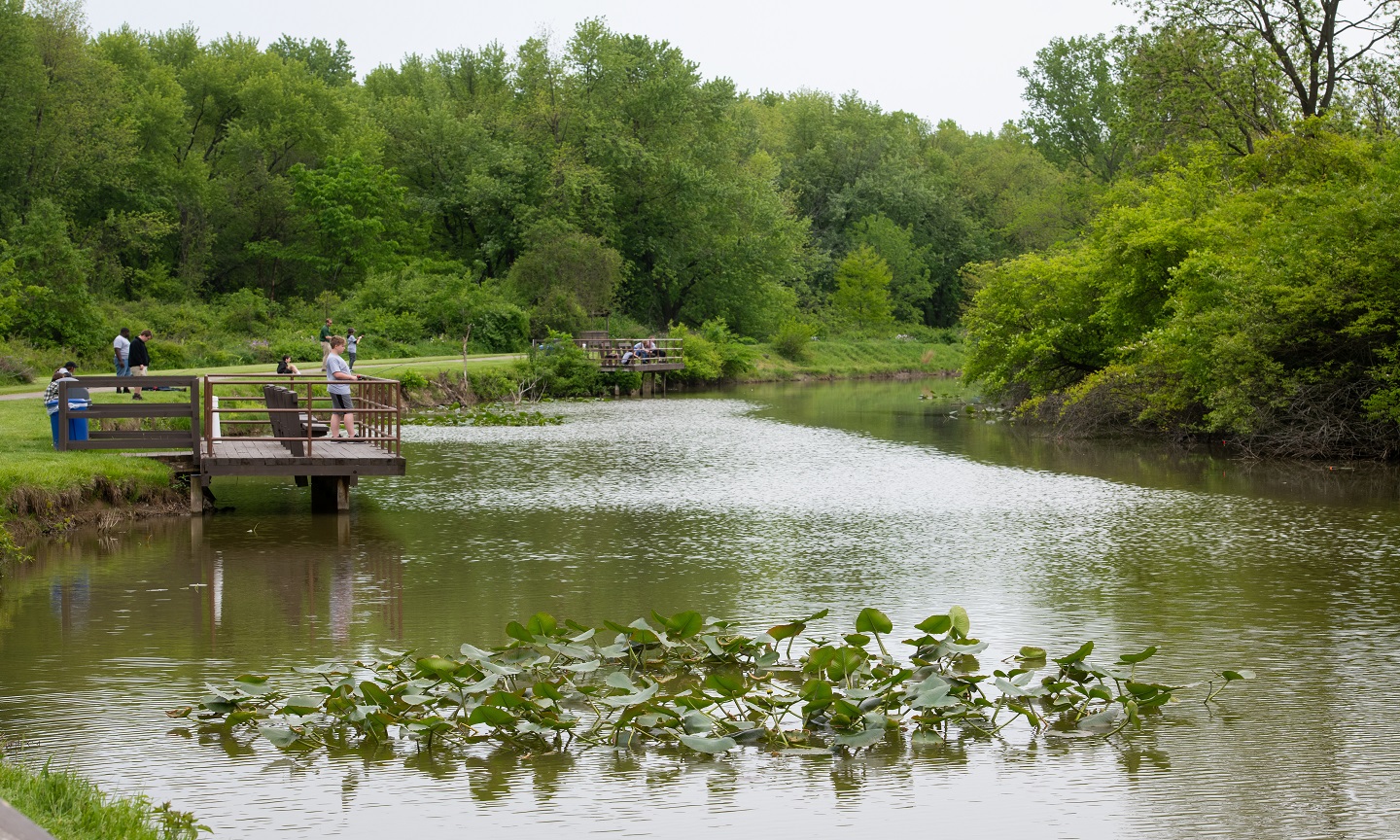 Fishingsocialthumbnail.jpg