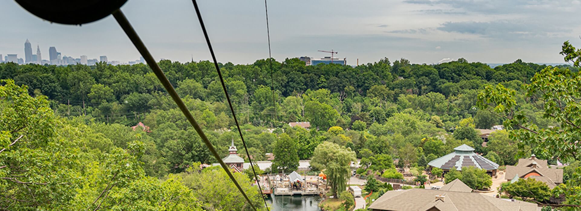 EagleZipLineView.jpg