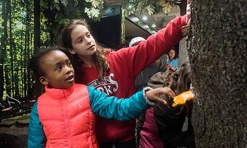 Two-Girls-Examining-a-Tree.jpg